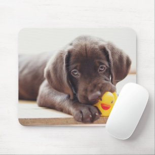 Mousepad Bebês Mais Pobres   Chocolate Labrador Puppy