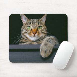 Mousepad Bebês Mais Pobres   Cinza por rosto de gato