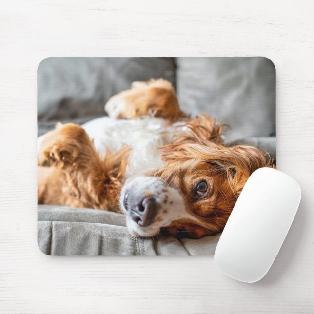 Mousepad Bebês Mais Pobres | Cocker Spaniel (Com mouse)