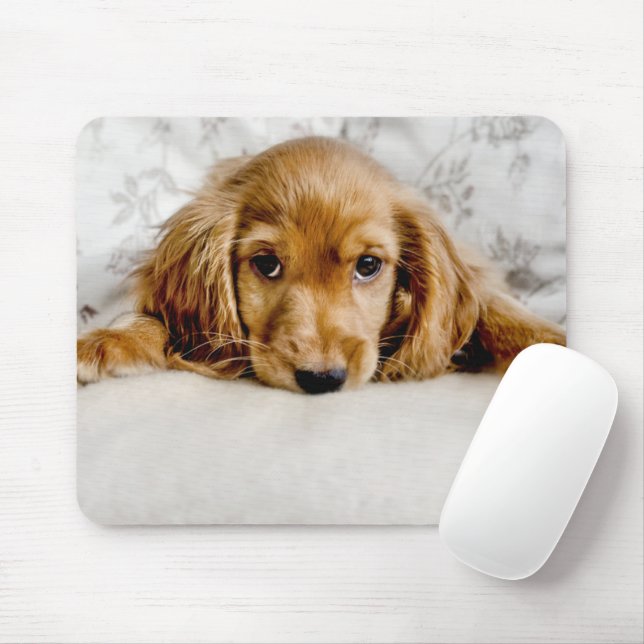 Mousepad Bebês Mais Pobres | Cocker Spaniel Puppy (Com mouse)