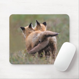 Mousepad Bebês Mais Pobres Colas de Raposa Vermelha Tranc