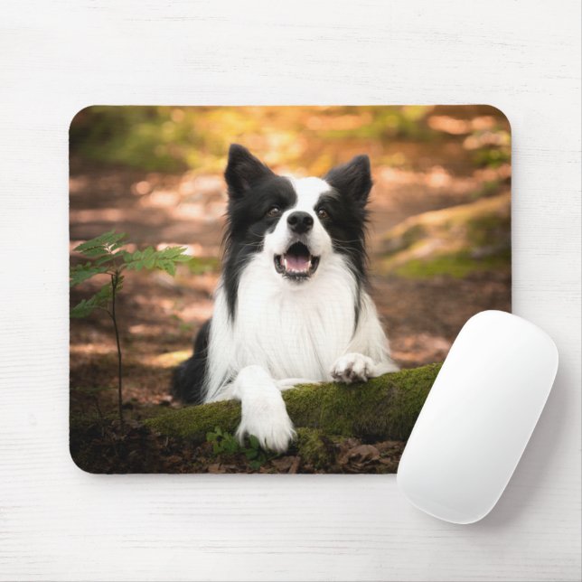 Mousepad Bebês Mais Pobres | Collie Preto e Branco (Com mouse)