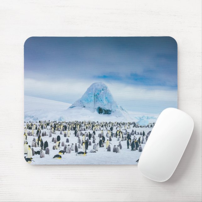 Mousepad Bebês Mais Pobres | Colônia de Imperador Penguin (Com mouse)