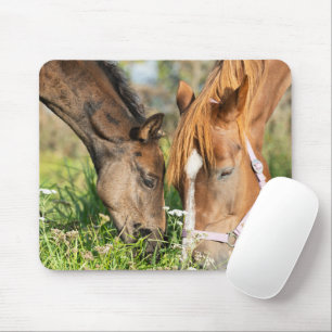 Mousepad Bebês Mais Pobres Coluna de cavalos