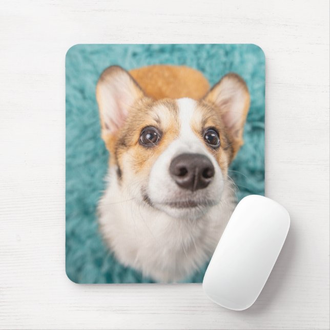 Mousepad Bebês Mais Pobres | Corgi Doce Face Puppy (Com mouse)