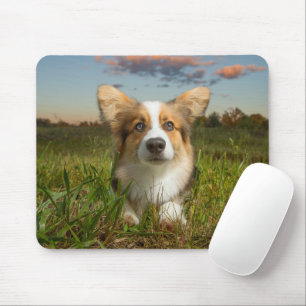 Mousepad Bebês Mais Pobres Corgi em Jardim Nublado