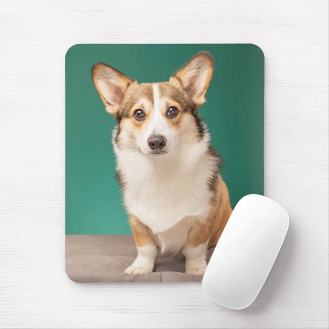 Mousepad Bebês Mais Pobres | Corgi em Teal (Com mouse)