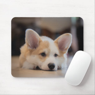 Mousepad Bebês Mais Pobres Corgi-Puppy com sono