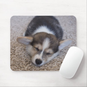 Mousepad Bebês Mais Pobres Corgi Puppy em Shag Rug