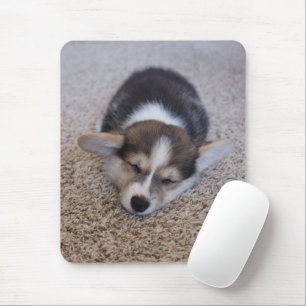 Mousepad Bebês Mais Pobres Corgi Puppy em Shag Rug