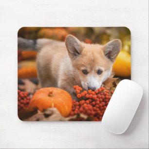 Mousepad Bebês Mais Pobres Corgi Puppy no outono