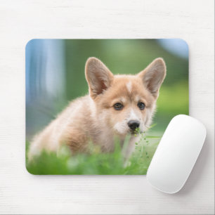 Mousepad Bebês Mais Pobres Corgi Puppy no Yard