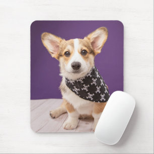 Mousepad Bebês Mais Pobres Corgi Puppy Skull Bandana