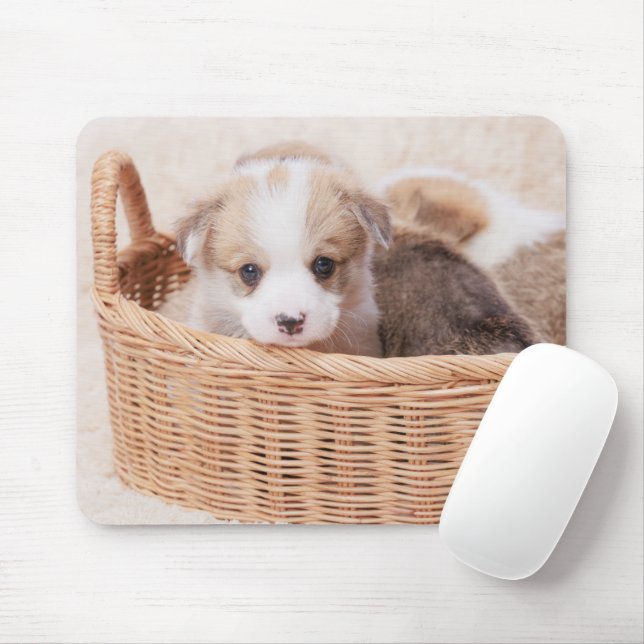 Mousepad Bebês Mais Pobres | Corgi Tiny Puppy (Com mouse)