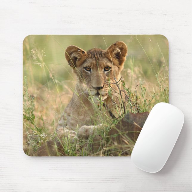 Mousepad Bebês Mais Pobres | Cubo-Leão-Bebê (Com mouse)