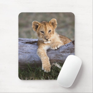 Mousepad Bebês Mais Pobres   Cubo-Leão-Cinto