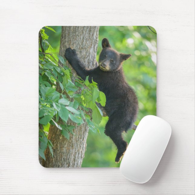 Mousepad Bebês Mais Pobres | Cubo-Urso Negro (Com mouse)