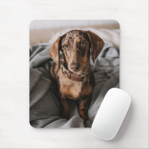 Mousepad Bebês Mais Pobres Dachshund De Chocolate