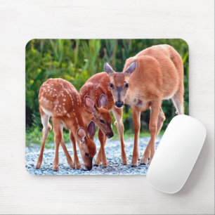 Mousepad Bebês Mais Pobres Descoberto com bebês