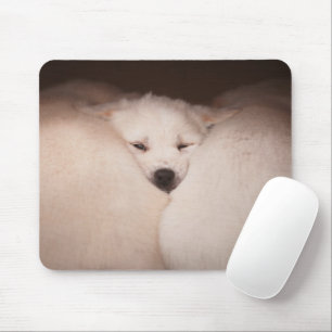 Mousepad Bebês Mais Pobres Dispositivo de Ouro