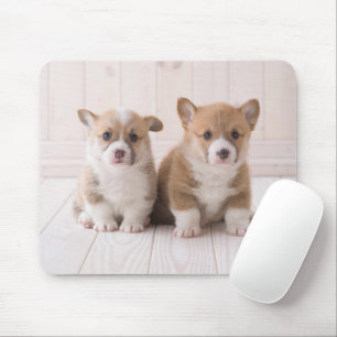 Mousepad Bebês Mais Pobres Dois Bebês De Corgão