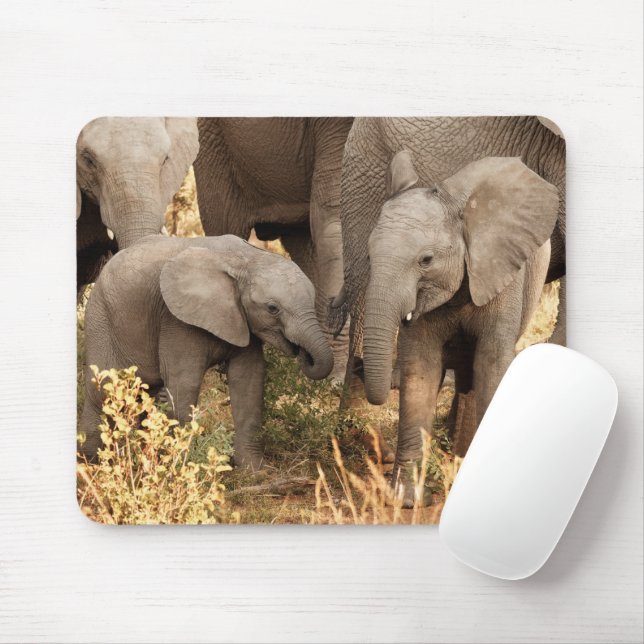 Mousepad Bebês Mais Pobres | Dois elefantes jovens (Com mouse)
