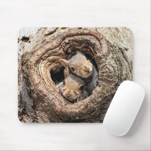 Mousepad Bebês Mais Pobres Dois esquilos jovens