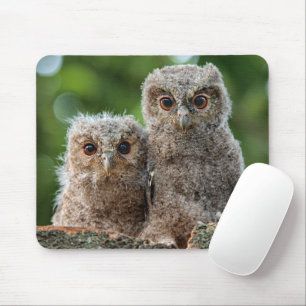 Mousepad Bebês Mais Pobres Dois Jovens Corujas