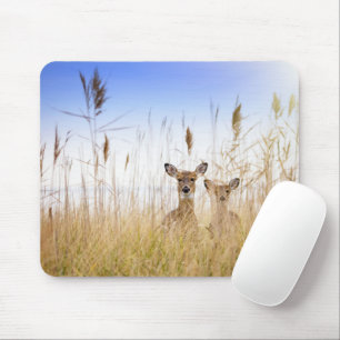 Mousepad Bebês Mais Pobres Dois Jovens Veados Brancos