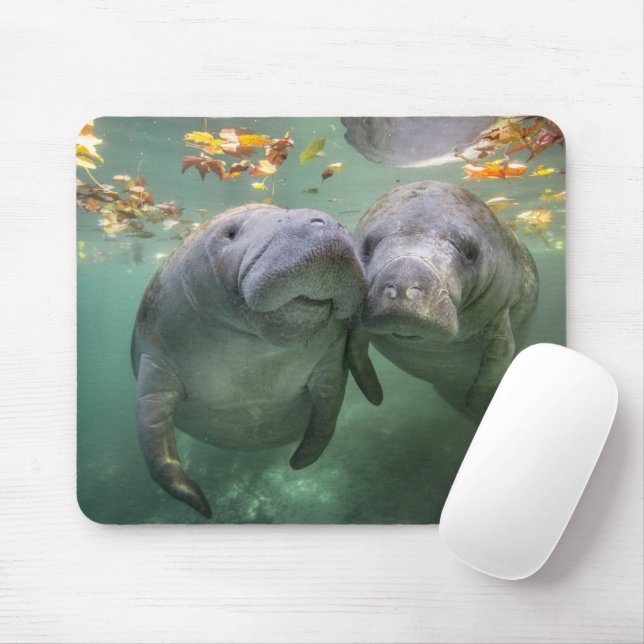 Mousepad Bebês Mais Pobres | Dois Manatins (Com mouse)