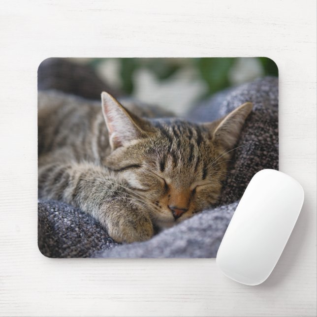 Mousepad Bebês Mais Pobres | Dormir De Tabby Kitten (Com mouse)