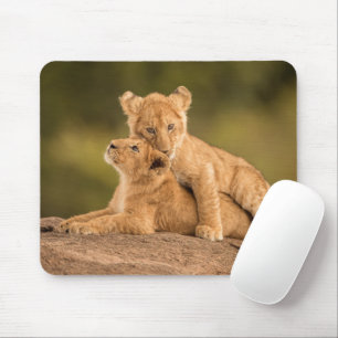 Mousepad Bebês Mais Pobres Duas Cubos De Leão