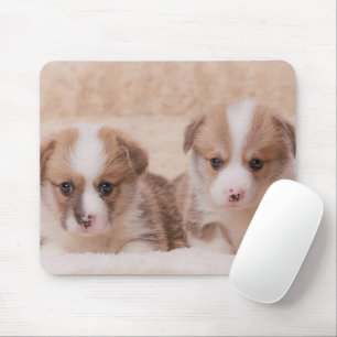 Mousepad Bebês Mais Pobres Duas Estuppias De Corgi