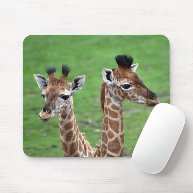 Mousepad Bebês Mais Pobres | Duas Girafas Bebidas (Com mouse)