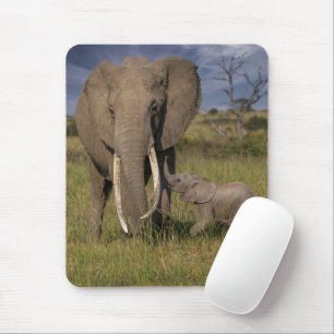 Mousepad Bebês Mais Pobres   Elefante Amama Com Bebê