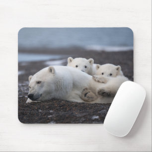 Mousepad Bebês Mais Pobres   Família Polar Bear Alaska
