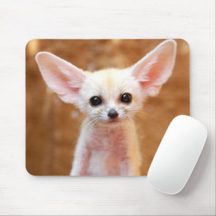 Mousepad Bebês Mais Pobres Fennec Fox