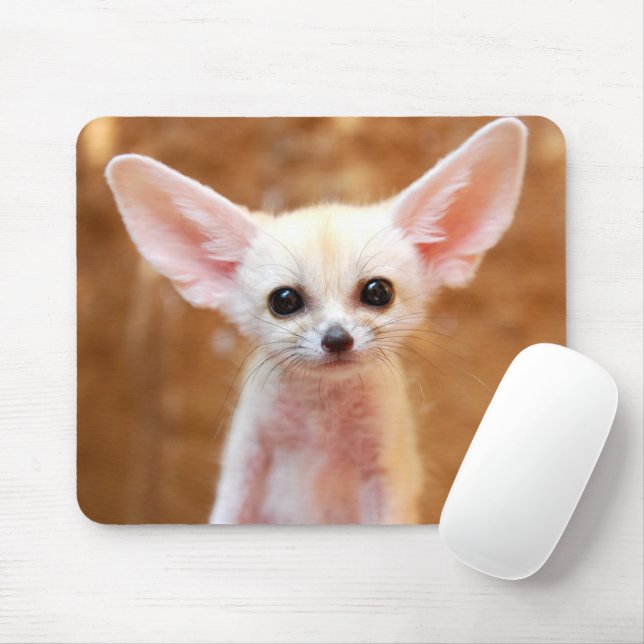 Mousepad Bebês Mais Pobres | Fennec Fox (Com mouse)