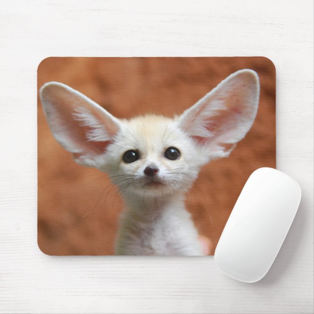 Mousepad Bebês Mais Pobres | Fennec Fox Pup (Com mouse)