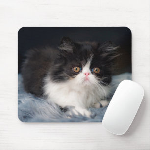 Mousepad Bebês Mais Pobres Fluffy B&W Kitten