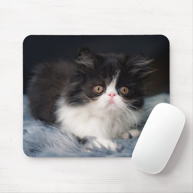 Mousepad Bebês Mais Pobres | Fluffy B&W Kitten (Com mouse)
