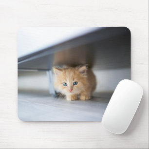 Mousepad Bebês Mais Pobres Fluffy Orange Kitten