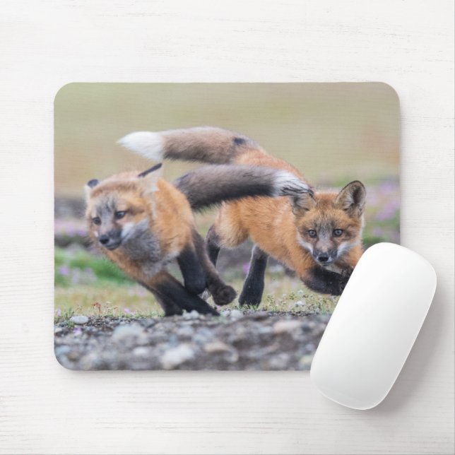 Mousepad Bebês Mais Pobres | Fox Pups em Play (Com mouse)