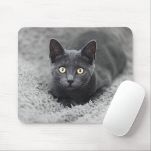 Mousepad Bebês Mais Pobres   Gato Cinza