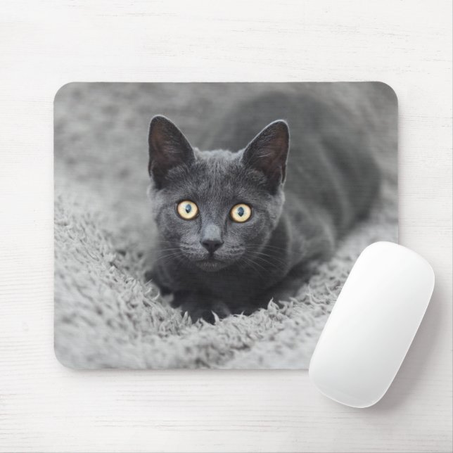 Mousepad Bebês Mais Pobres | Gato Cinza (Com mouse)