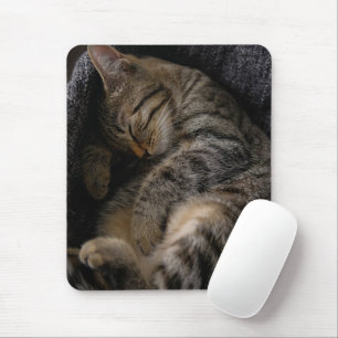 Mousepad Bebês Mais Pobres Gato-De-Dormir