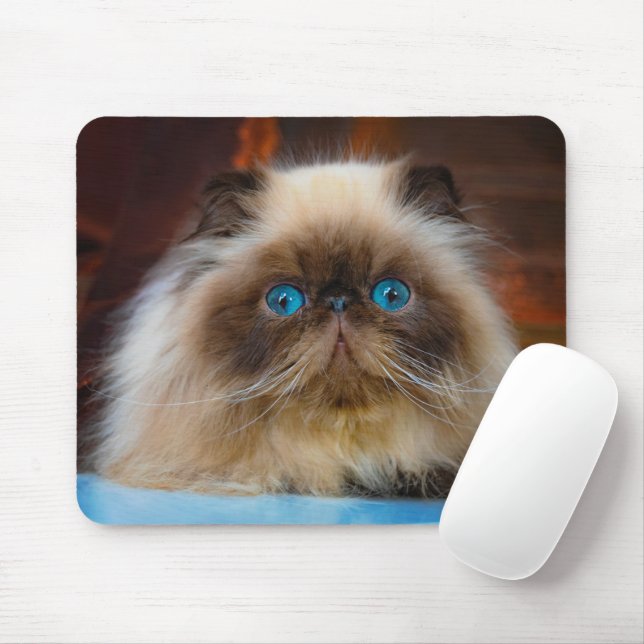 Mousepad Bebês Mais Pobres | Gato de Himalaia (Com mouse)