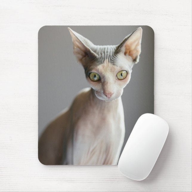 Mousepad Bebês Mais Pobres | Gato esfingx (Com mouse)