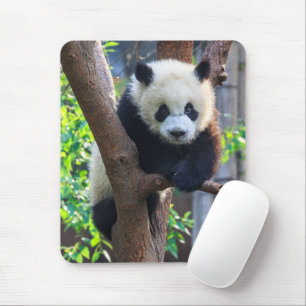 Mousepad Bebês Mais Pobres Giant Panda Cub