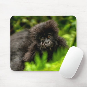 Mousepad Bebês Mais Pobres Gorila de montanha Criança
